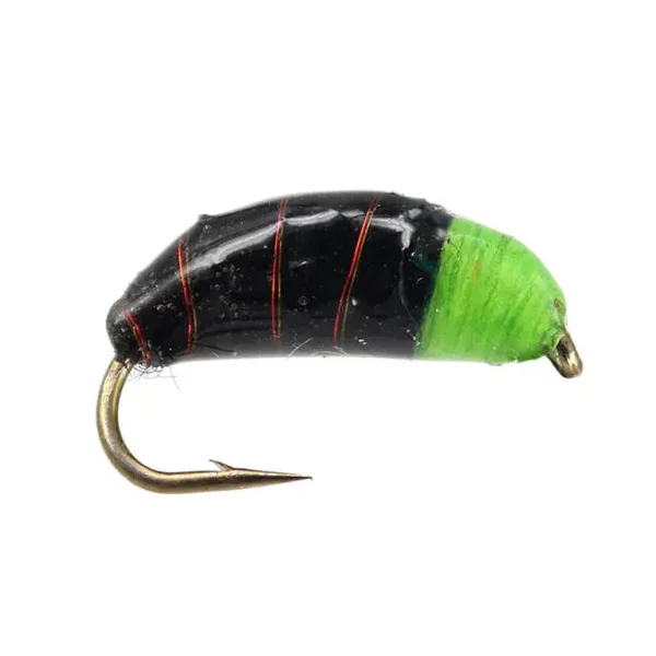Green Heavy Bomber ninfa