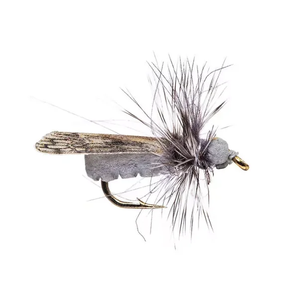 Grey Caddis CDC mosca seca