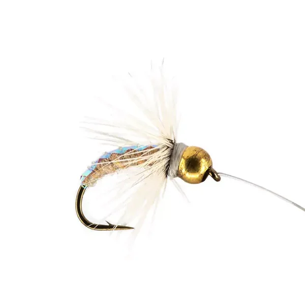 Grey Grayling Star ninfa para cuerda