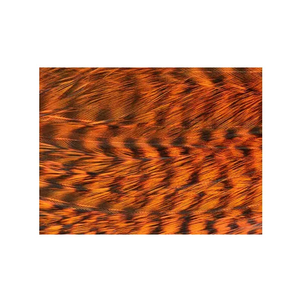 GRIZZLY GENETIC HACKLES MINIPATCH hotfly - Imagen 5