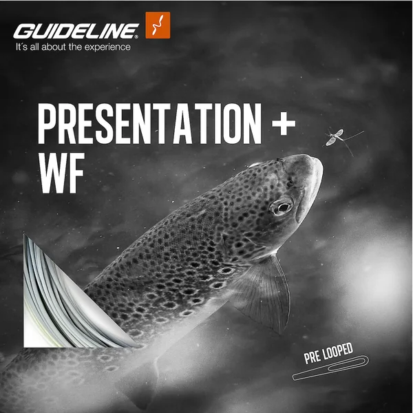 Guideline Presentación+ Línea de mosca flotante