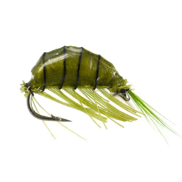 Heavy Epoxy Shrimp Olive ninfa