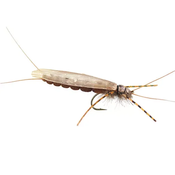 Large Realistic Brown Stonefly mosca seca