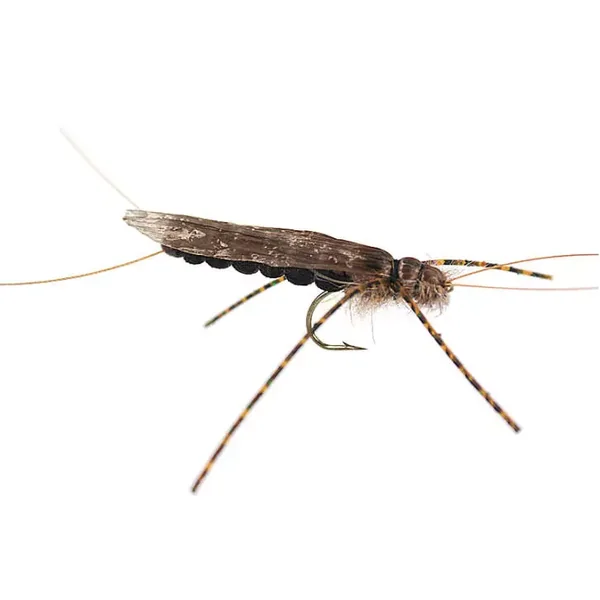 Large Realistic Dark Stonefly mosca seca