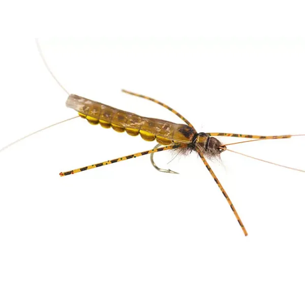 Large Realistic Yellow Stonefly mosca seca