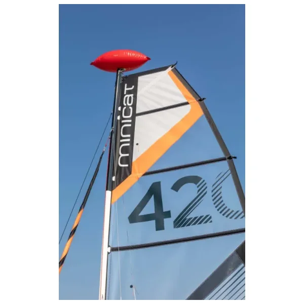 Mast float Minicat 310 - Imagen 2