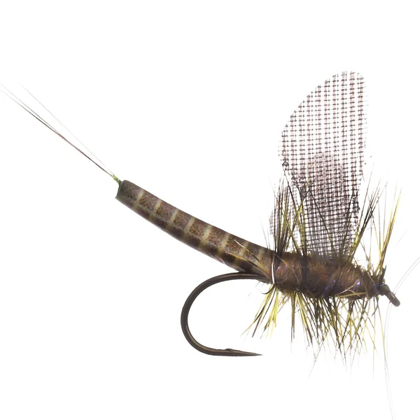 MFC Lucent Wing True Drake Green Mosca seca Mayfly Barbless #12