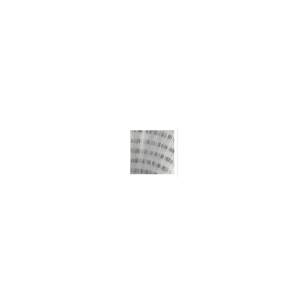 Microfibbets Tail Barred Textreme - Imagen 3