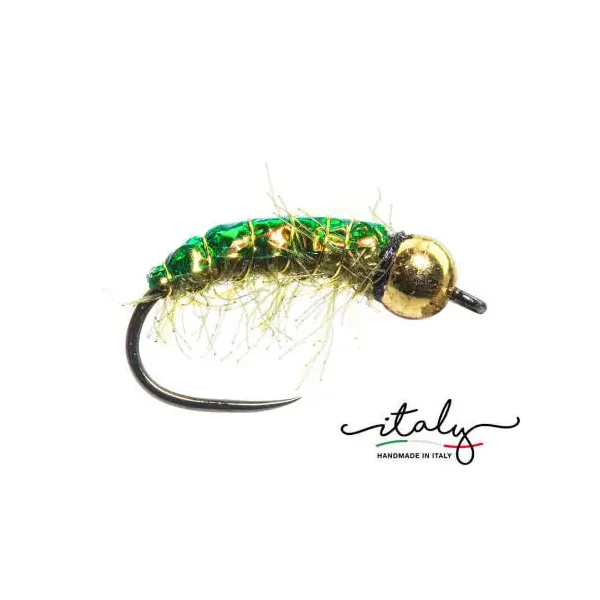 Morgans Pupae Shiny Back ninfa tungsteno