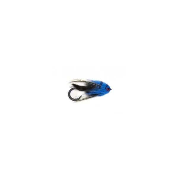 Moscas para Lucio D10