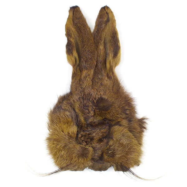 Máscara de conejo Veniard Hares Mask
