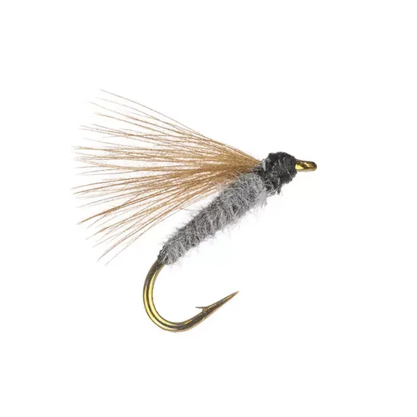October Dun CDC mosca tímalo