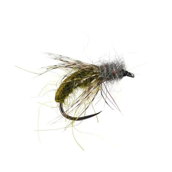Olive Caddis Pupa BL mosca agohada