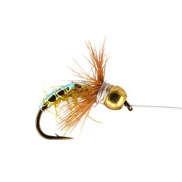 Olive Grayling Star ninfa para cuerda