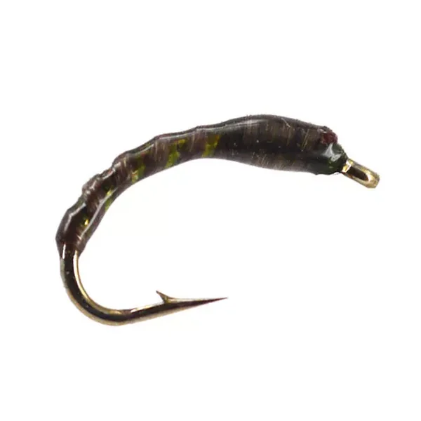 Olive Rib Buzzer ninfa