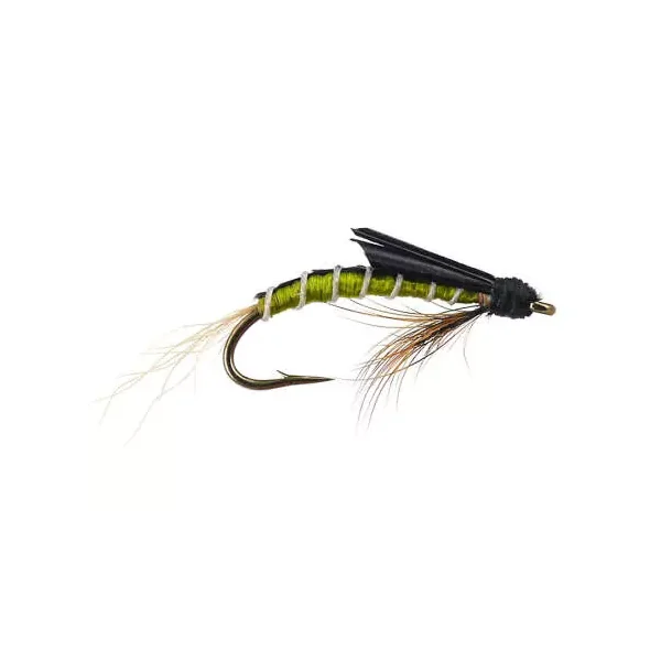 Olive Swimming Nymph - Medium Olive mosca trucha tímalo