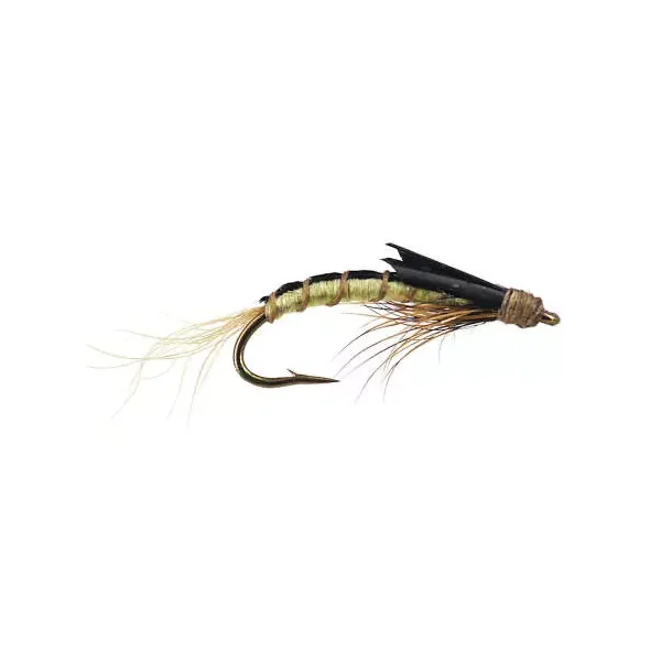 Olive Swimming Nymph - Tan mosca trucha tímalo