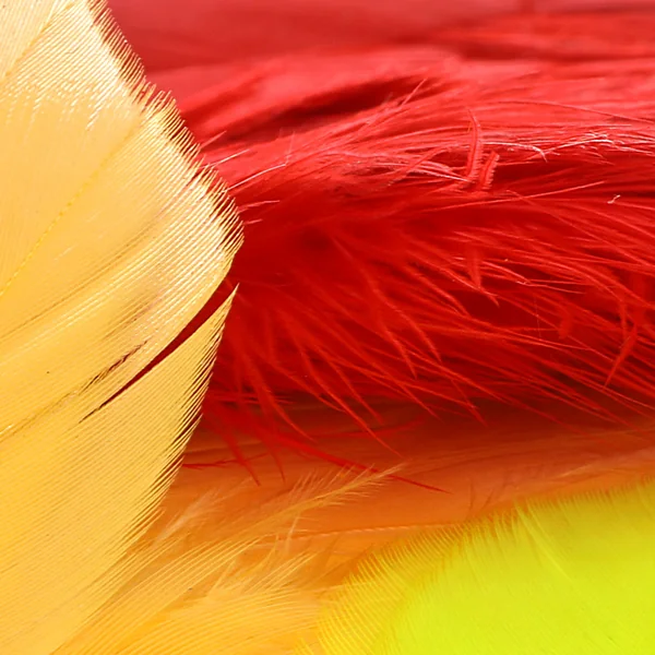 Parche Future Fly American Soft Hackle - Imagen 2