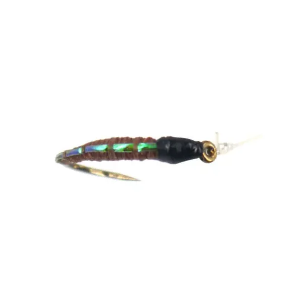 Pearl Back Chiro Brown ninfa para cuerda