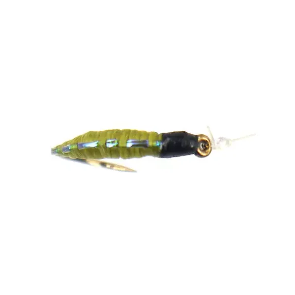 Pearl Back Chiro Olive ninfa para cuerda