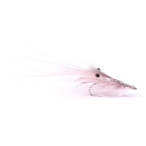 Pedos de pájaro de Whiting - Imagen 7