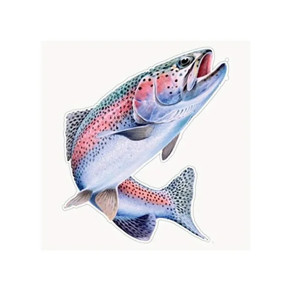 Pegatina de Vinilo Trucha Arcoiris HF FLY