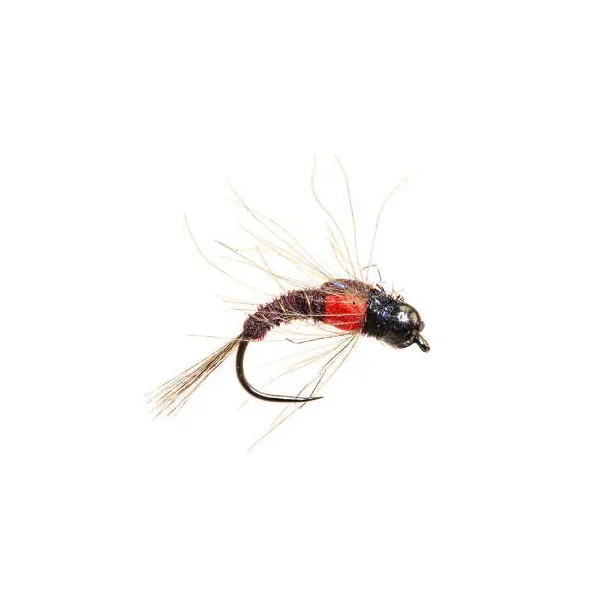 Pheasant & CDC Evo BH BL 4 ninfa con bola