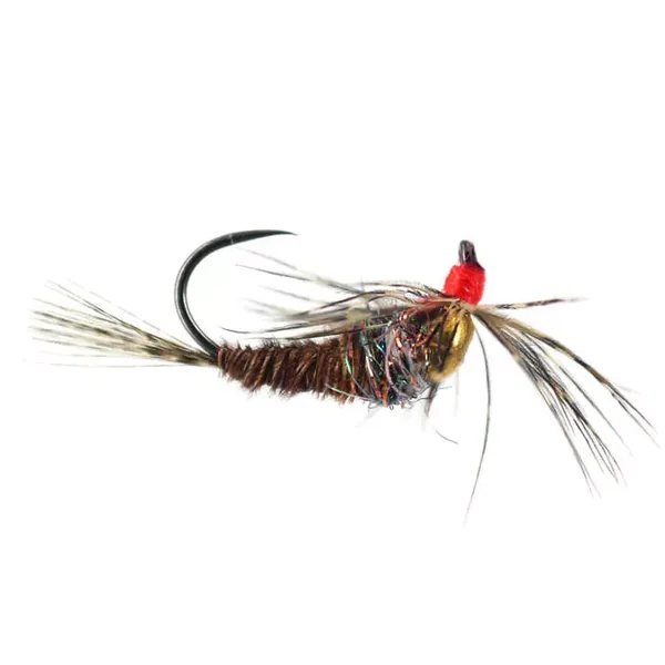 Pheasant Spider Javi TG BL ninfa tungsteno