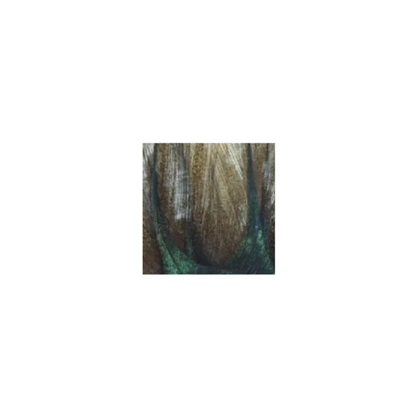 PLUMA DE LEON GRADO 1