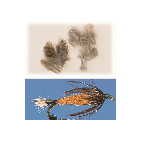 PLUMA DE PERDIZ INGLESA