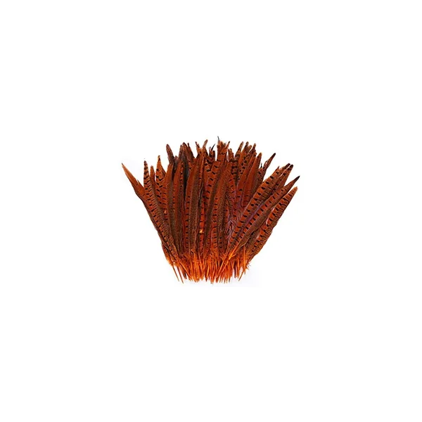 PLUMAS COLA DE FAISAN MACHO