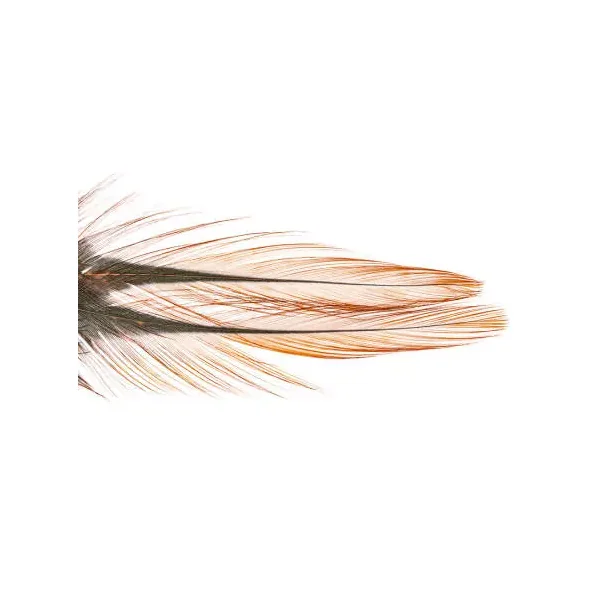 PLUMAS COQ DE LEÒN INDIO grade 2 hotfly - 10 pz.