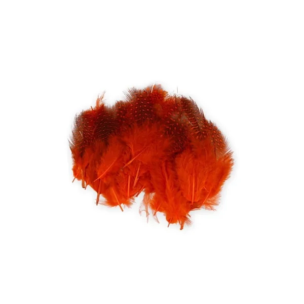 Plumas de Gallina de Guinea