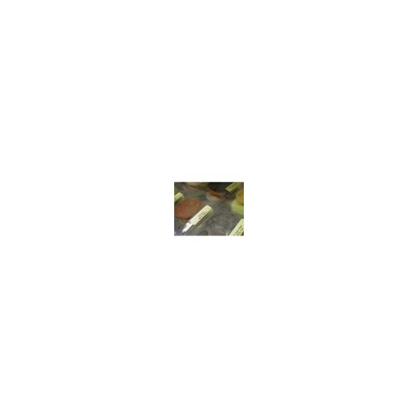 Portfolio Dubbing FLY-RITE