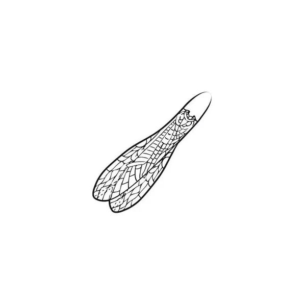 Pro Adult Stonefly Wings M