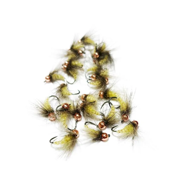 Pupa amarilla brinca Marrón HF FLY