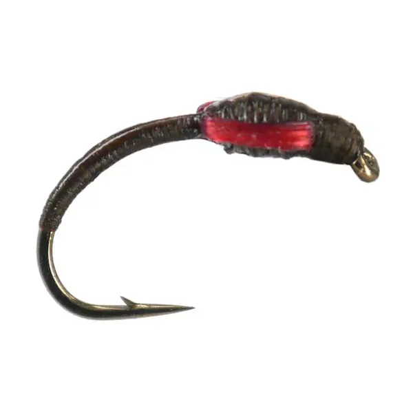 Realbuzz Dark Brown ninfa