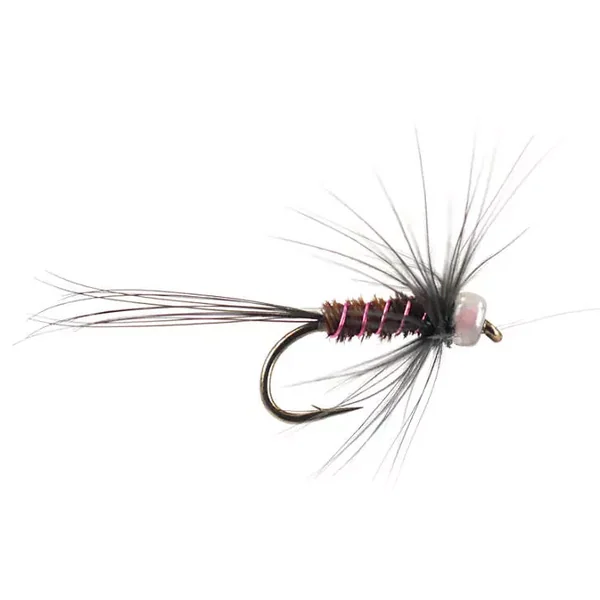 River Pheasant Purple Black Hackled ninfa para cuerda