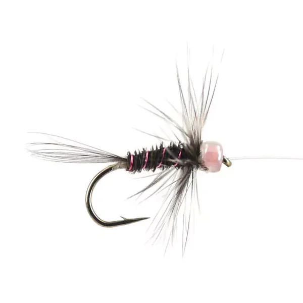 River Pheasant Purple Grizzly Hackled ninfa para cuerda