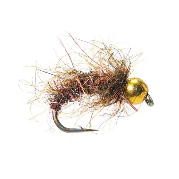 Rough BH Bomber Brown ninfa con bola
