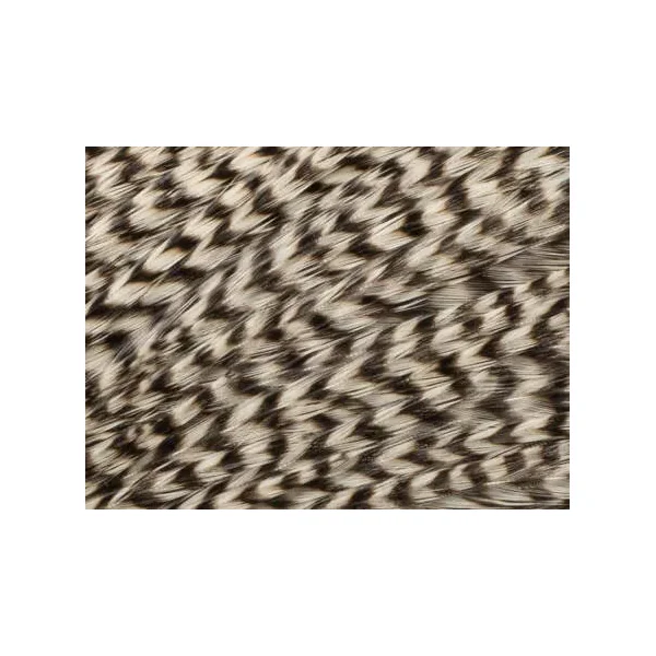 SADDLE keough hackles - Imagen 2
