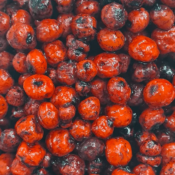 SBS Baits Red One Tigernuts Natural 1kg - Imagen 2