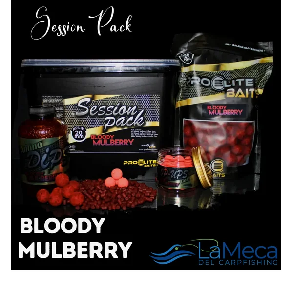 SESSION PACK BLOODY MULBERRY GOLD