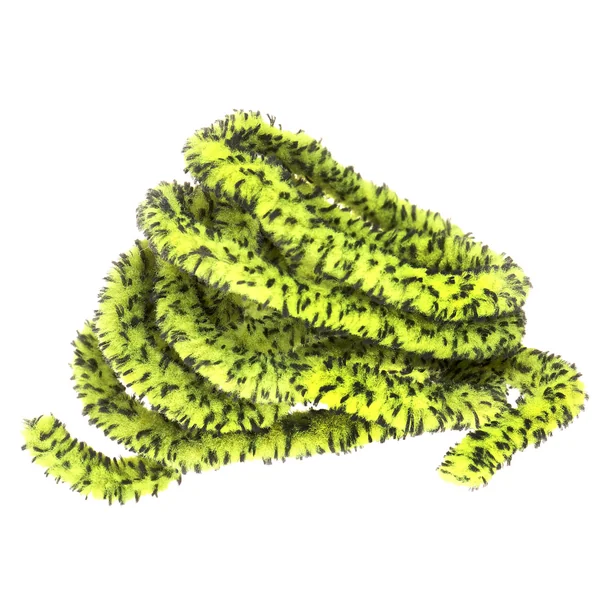 Soldarini Mopa Chenilla Tigre