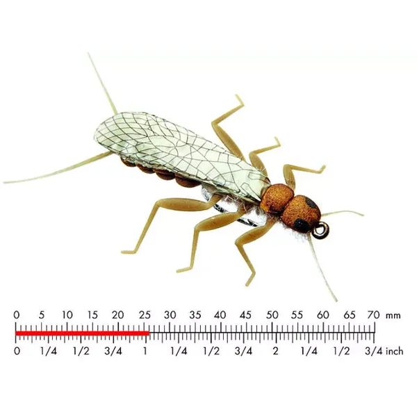 Stonefly Adult 2 Olive Brown 26mm mosca JSon