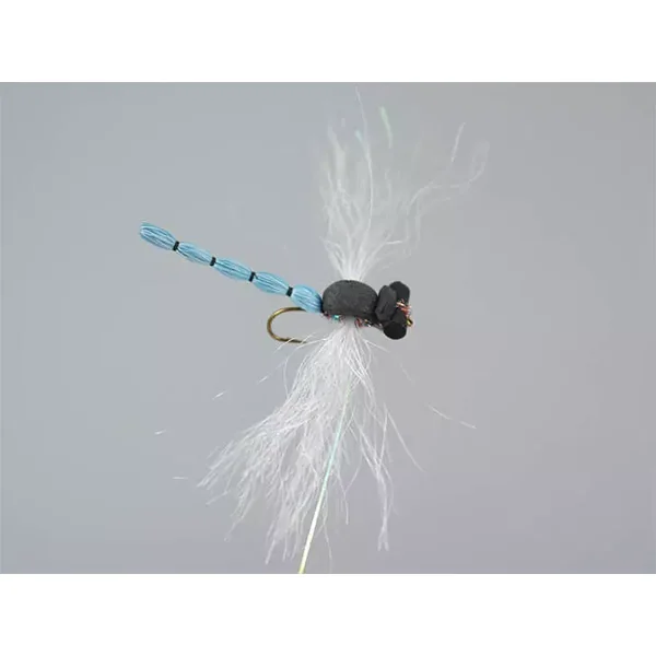 Superb Large Dragonfly Blue libèlula moscardone