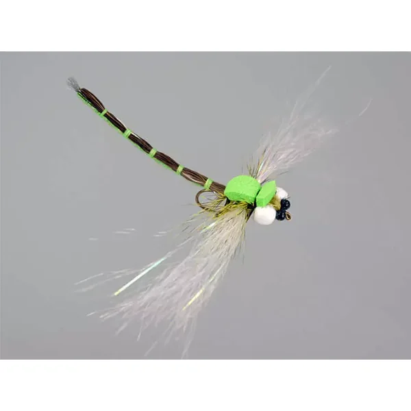 Superb Large Dragonfly Green libèlula moscardone