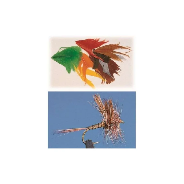 SUSTITUTO DE CONDOR