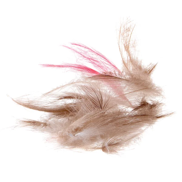 SwissCDC Plumas CDC Super Select Plumas - Imagen 2