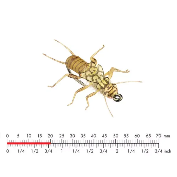 Tungsten Stonefly Nymph 3 Black mosca JSon